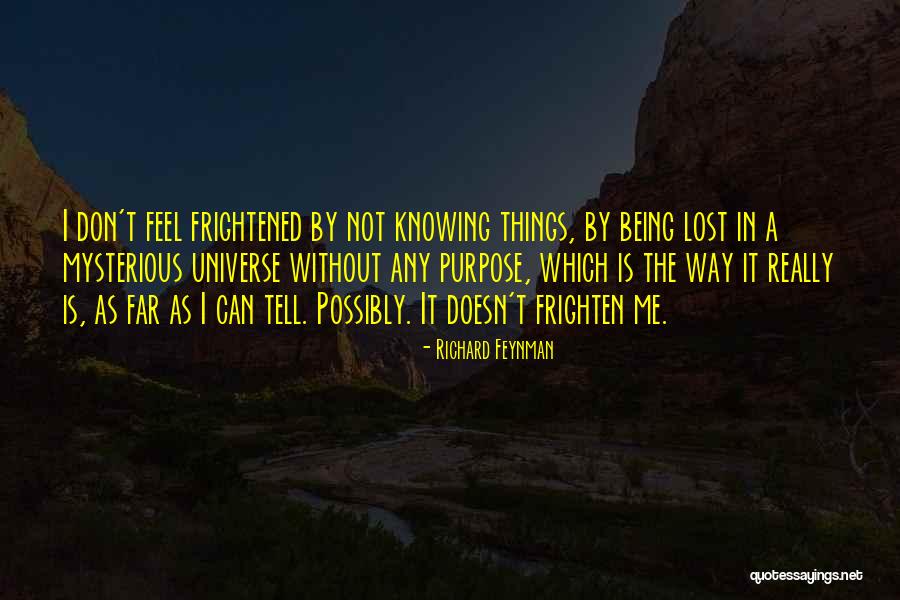 Sometimes I Just Feel Lost Quotes By Richard Feynman