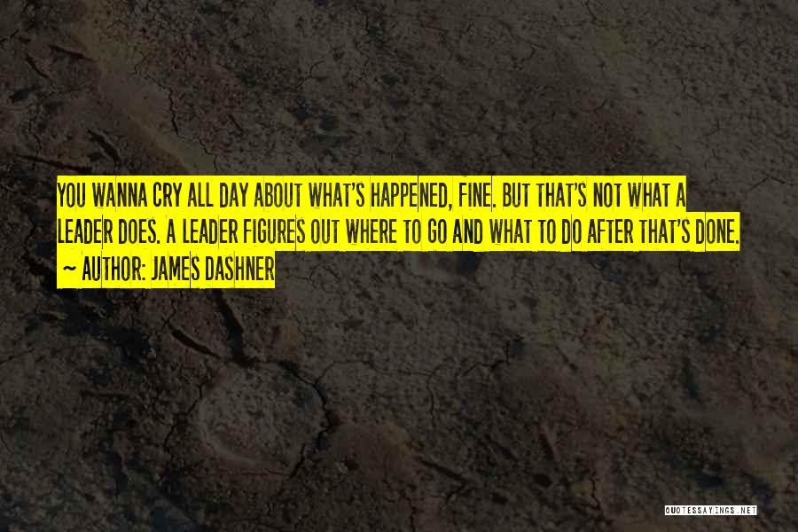 Sometimes I Just Wanna Cry Quotes By James Dashner