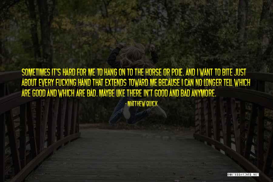 Sometimes I Just Want Quotes By Matthew Quick Sometimes I Just Want Quotes By Matthew Quick