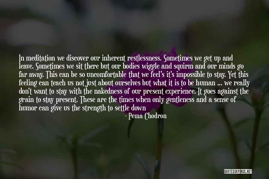 Sometimes I Just Want Quotes By Pema Chodron