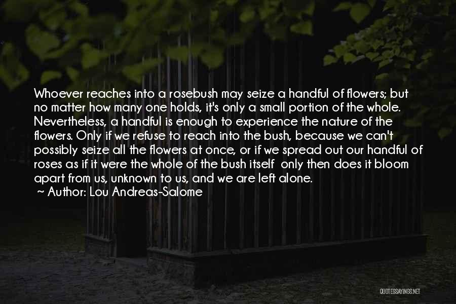 Sometimes I Just Want To Be Left Alone Quotes By Lou Andreas-Salome