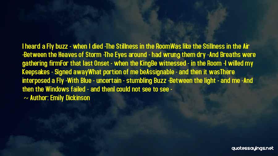 Sometimes I Just Want To Fly Away Quotes By Emily Dickinson