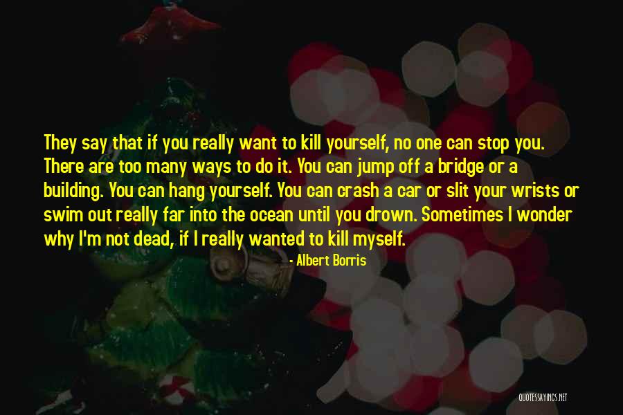 Sometimes I Really Wonder Quotes By Albert Borris Sometimes I Really Wonder Quotes By Albert Borris