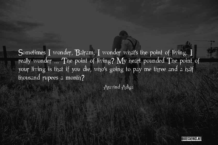 Sometimes I Really Wonder Quotes By Aravind Adiga Sometimes I Really Wonder Quotes By Aravind Adiga