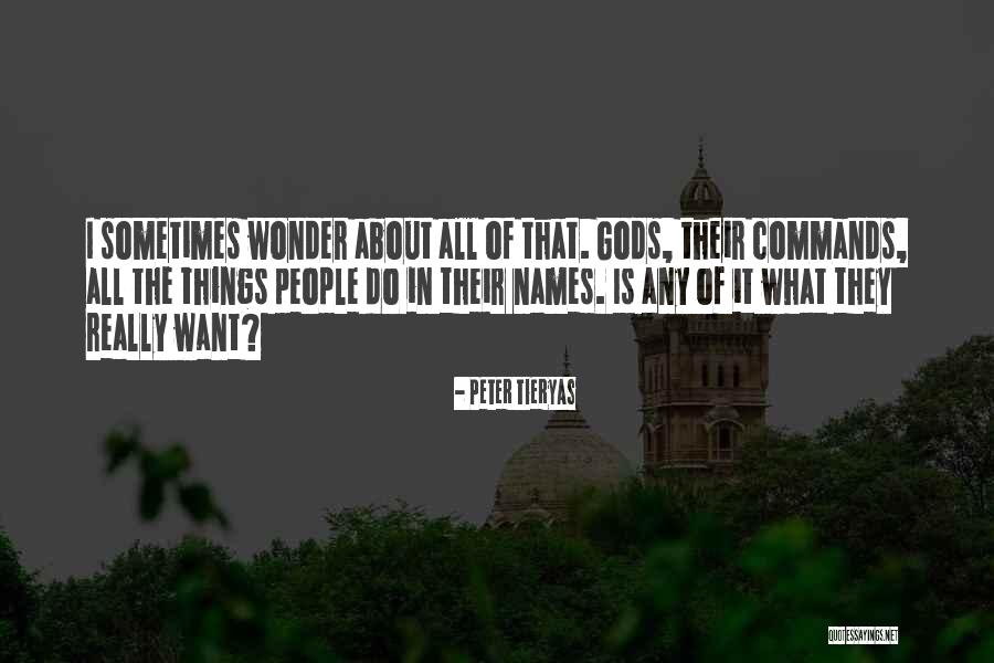 Sometimes I Really Wonder Quotes By Peter Tieryas Sometimes I Really Wonder Quotes By Peter Tieryas