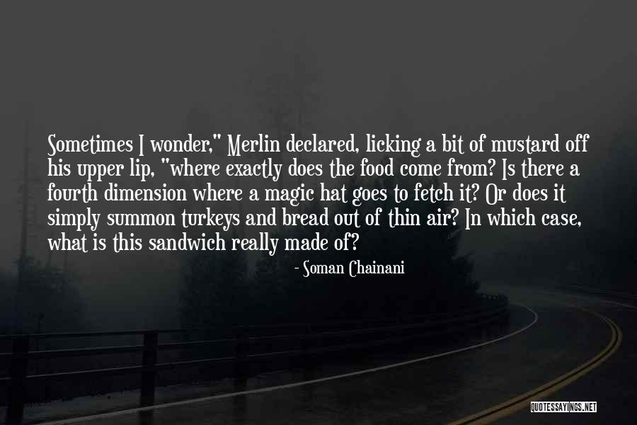 Sometimes I Really Wonder Quotes By Soman Chainani Sometimes I Really Wonder Quotes By Soman Chainani