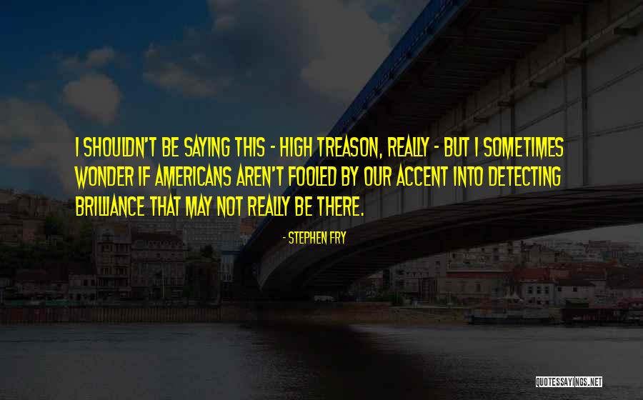 Sometimes I Really Wonder Quotes By Stephen Fry Sometimes I Really Wonder Quotes By Stephen Fry