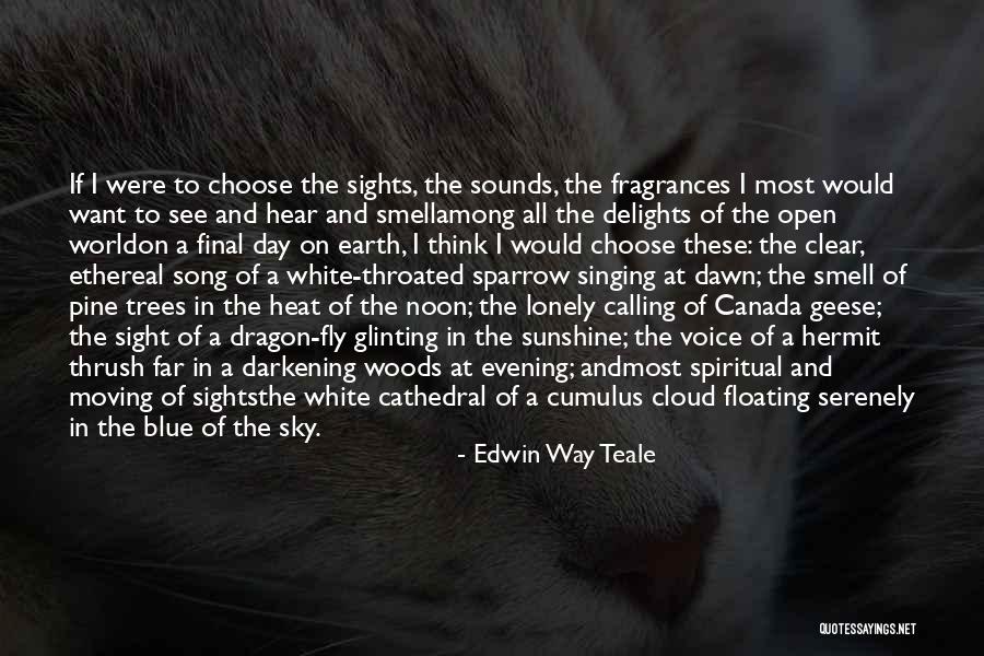 Sometimes I Wish I Could Fly Quotes By Edwin Way Teale Sometimes I Wish I Could Fly Quotes By Edwin Way Teale