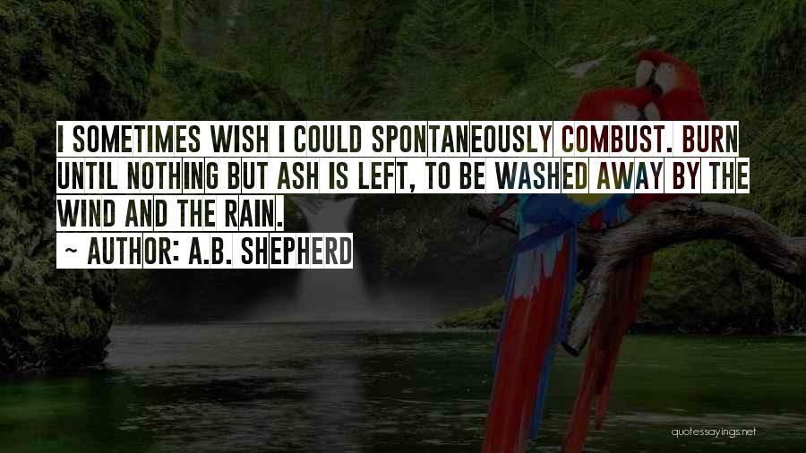Sometimes I Wish I Could Quotes By A.B. Shepherd