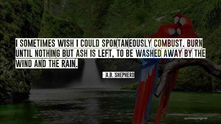 Sometimes I Wish I Could Quotes By A.B. Shepherd