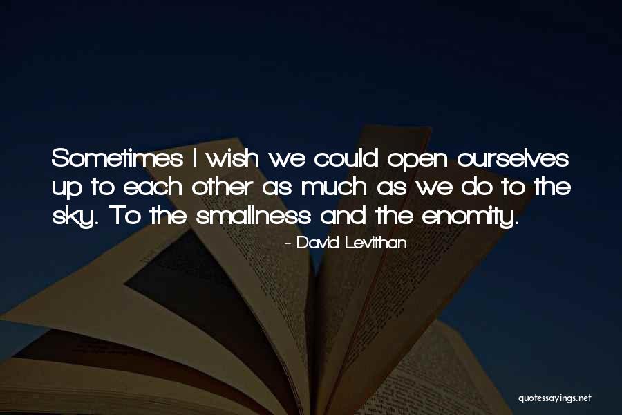 Sometimes I Wish I Could Quotes By David Levithan