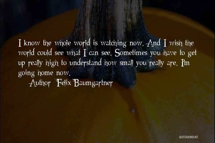 Sometimes I Wish I Could Quotes By Felix Baumgartner