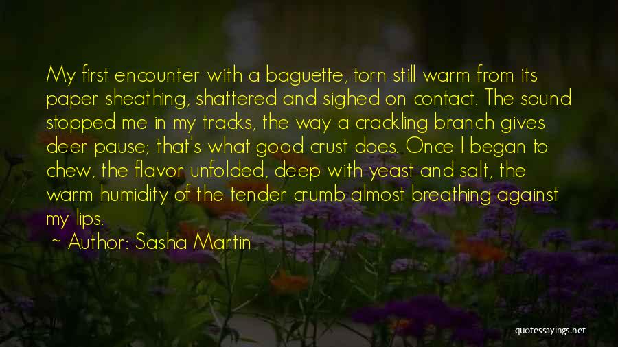 Sometimes I Wish I Had Someone Quotes By Sasha Martin