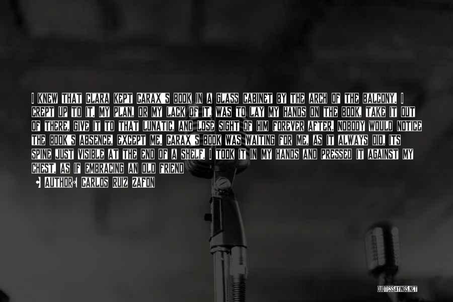 Sometimes I Wonder About Life Quotes By Carlos Ruiz Zafon
