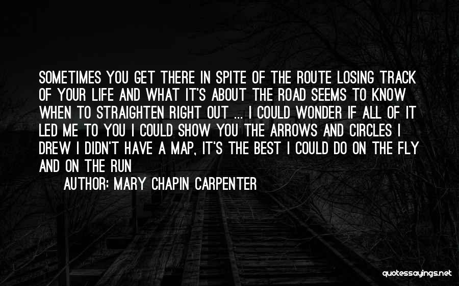 Sometimes I Wonder About Life Quotes By Mary Chapin Carpenter