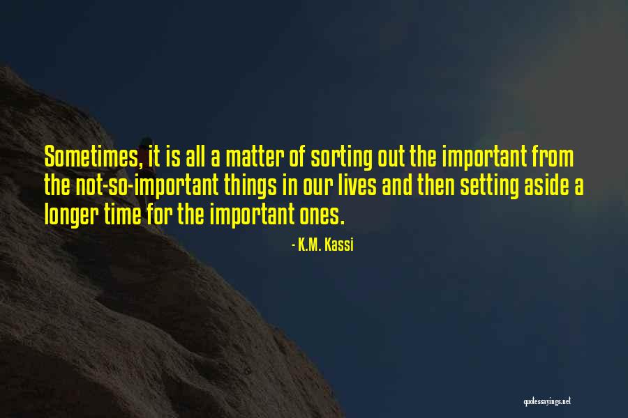 Sometimes In Our Lives Quotes By K.M. Kassi