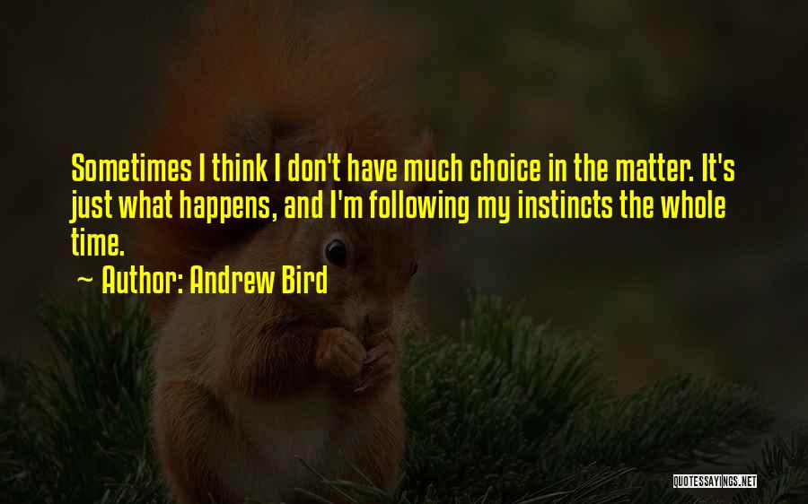 Sometimes It Just Happens Quotes By Andrew Bird