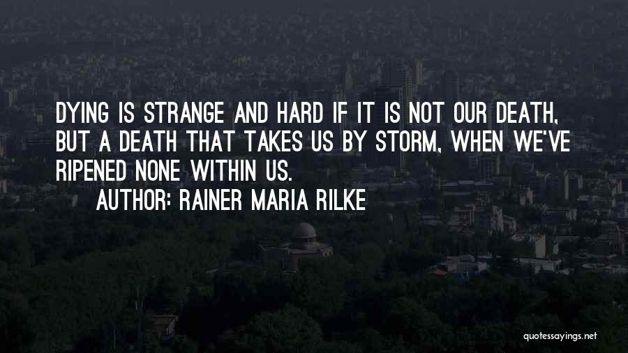 Sometimes It Takes A Storm Quotes By Rainer Maria Rilke