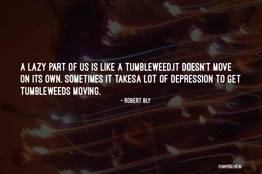 Sometimes It Takes Quotes By Robert Bly