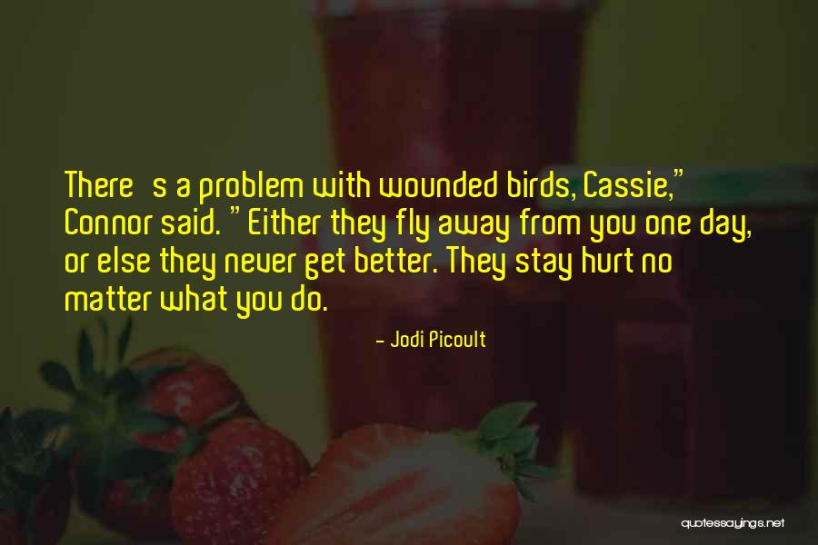 Sometimes It's Better To Stay Away Quotes By Jodi Picoult