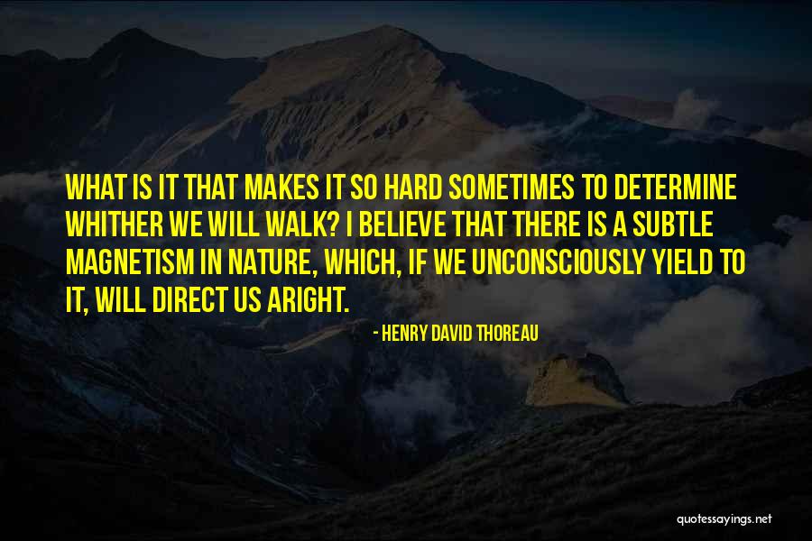 Sometimes It's Hard To Believe Quotes By Henry David Thoreau