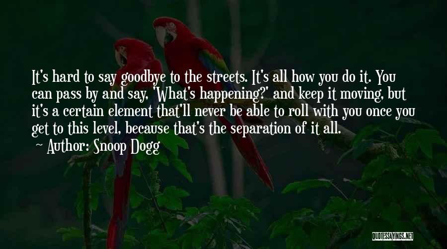Sometimes It's Hard To Say Goodbye Quotes By Snoop Dogg