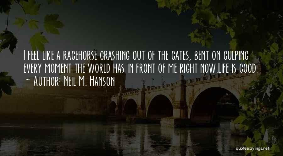 Sometimes It's Right In Front Of You Quotes By Neil M. Hanson