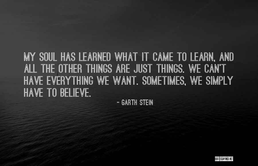 Sometimes Just Sometimes Quotes By Garth Stein