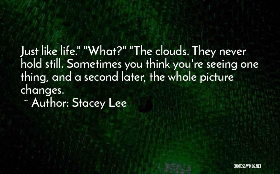 Sometimes Life Changes Quotes By Stacey Lee