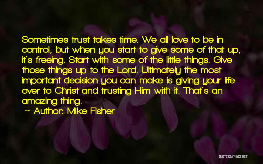 Sometimes Little Things Life Quotes By Mike Fisher