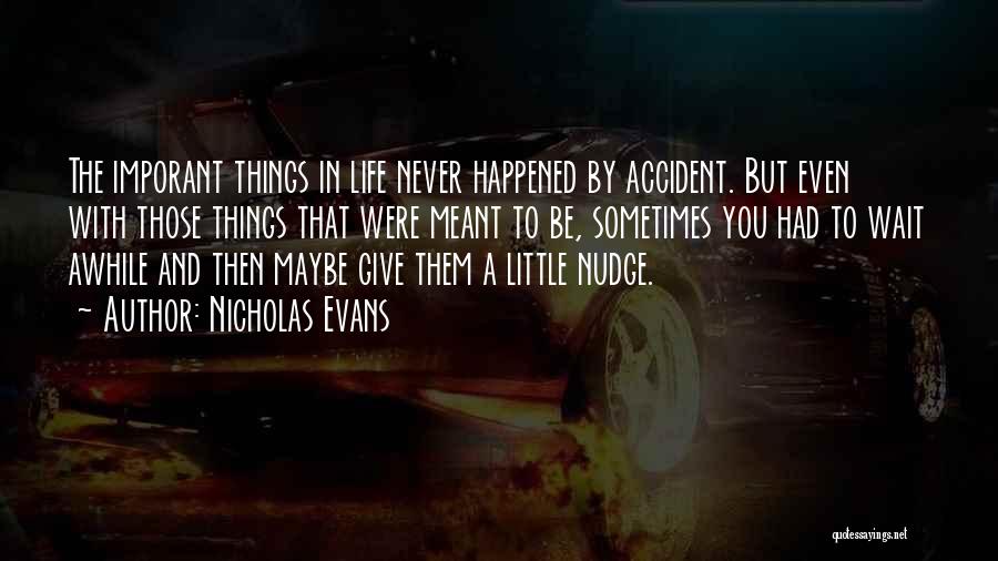 Sometimes Little Things Life Quotes By Nicholas Evans