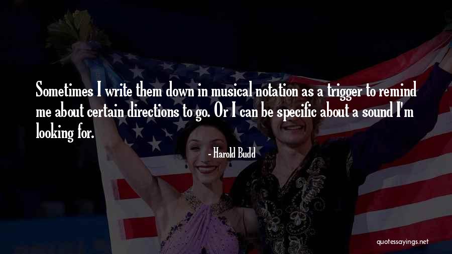 Sometimes Looking Down Quotes By Harold Budd Sometimes Looking Down Quotes By Harold Budd