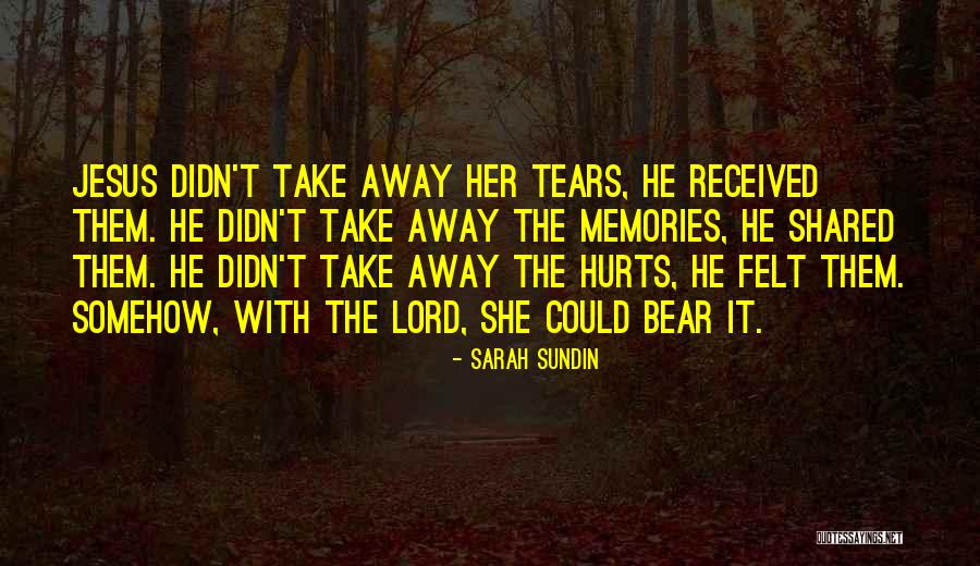 Sometimes Memories Hurts Quotes By Sarah Sundin Sometimes Memories Hurts Quotes By Sarah Sundin