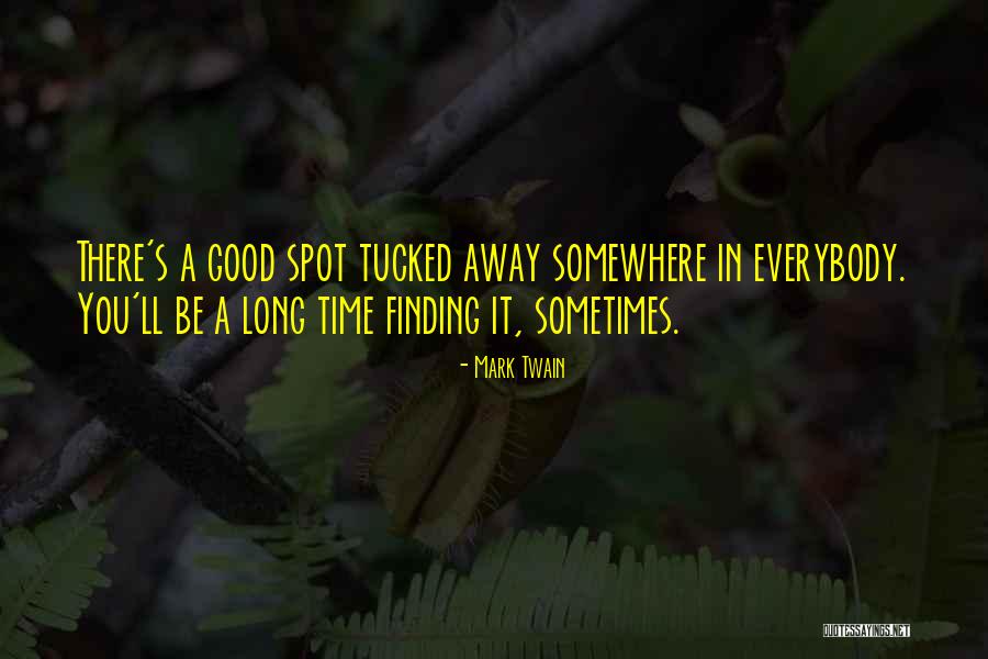 Sometimes Somewhere Quotes By Mark Twain