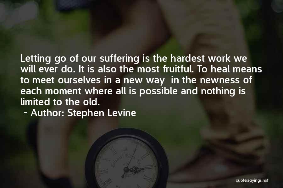 Sometimes The Hardest Thing Is Letting Go Quotes By Stephen Levine