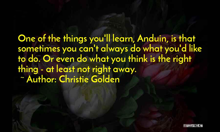 Sometimes The Right Thing To Do Quotes By Christie Golden