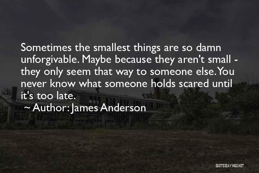 Sometimes The Smallest Things Quotes By James Anderson