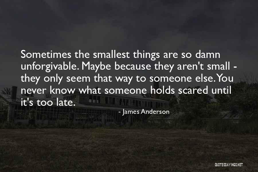 Sometimes The Smallest Things Quotes By James Anderson