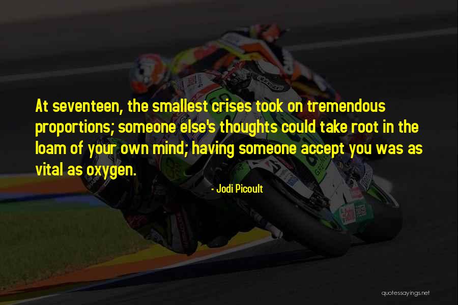 Sometimes The Smallest Things Quotes By Jodi Picoult Sometimes The Smallest Things Quotes By Jodi Picoult
