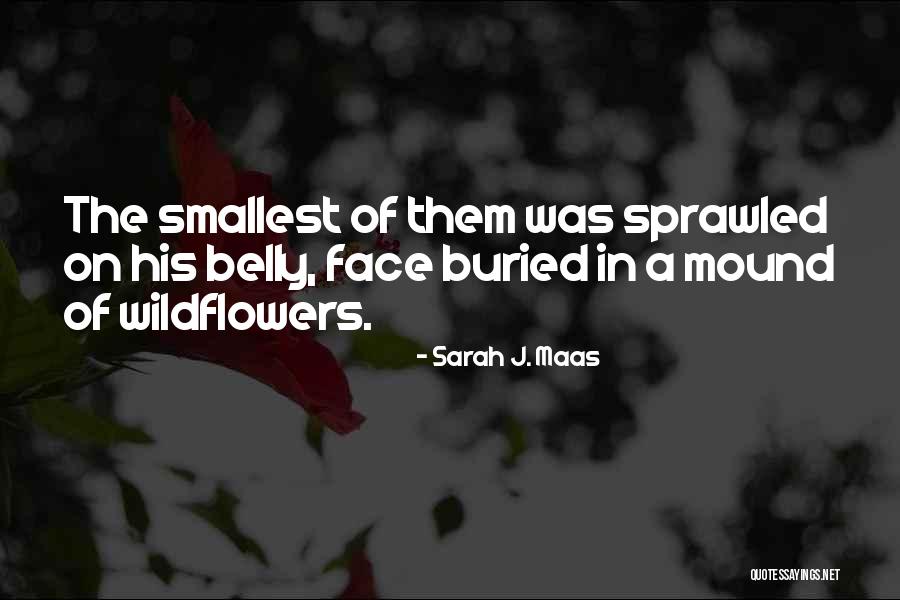 Sometimes The Smallest Things Quotes By Sarah J. Maas Sometimes The Smallest Things Quotes By Sarah J. Maas