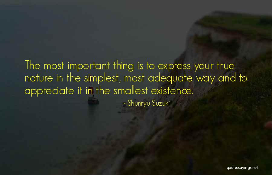 Sometimes The Smallest Things Quotes By Shunryu Suzuki