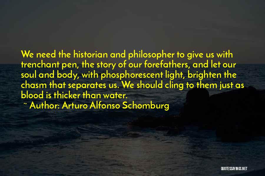 Sometimes Water Is Thicker Than Blood Quotes By Arturo Alfonso Schomburg