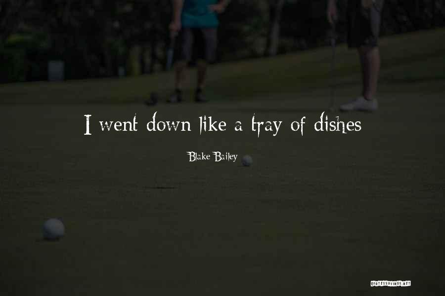 Sometimes We Fall Down Quotes By Blake Bailey Sometimes We Fall Down Quotes By Blake Bailey