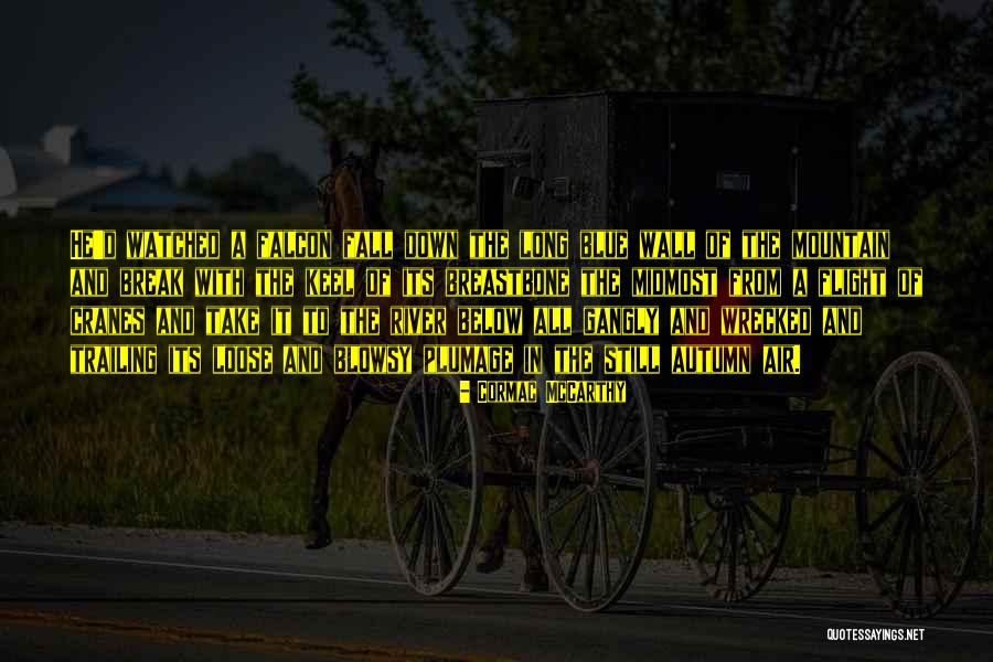 Sometimes We Fall Down Quotes By Cormac McCarthy Sometimes We Fall Down Quotes By Cormac McCarthy