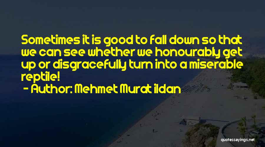 Sometimes We Fall Down Quotes By Mehmet Murat Ildan