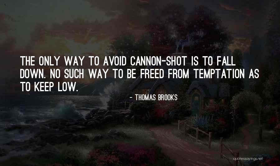 Sometimes We Fall Down Quotes By Thomas Brooks Sometimes We Fall Down Quotes By Thomas Brooks