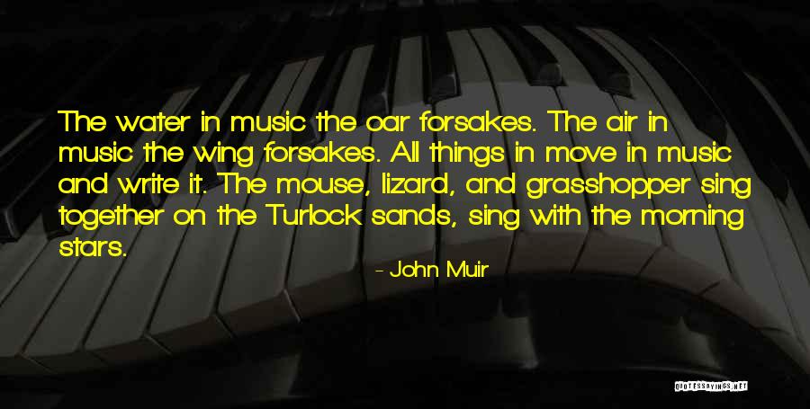 Sometimes We Have To Move On Quotes By John Muir Sometimes We Have To Move On Quotes By John Muir