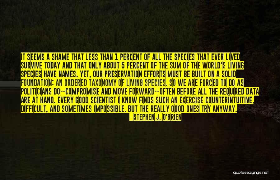 Sometimes We Have To Move On Quotes By Stephen J. O'Brien Sometimes We Have To Move On Quotes By Stephen J. O'Brien