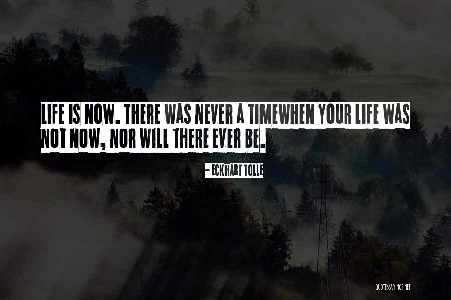 Sometimes We Just Live In This Moment Quotes By Eckhart Tolle Sometimes We Just Live In This Moment Quotes By Eckhart Tolle
