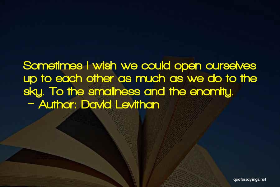 Sometimes We Wish Quotes By David Levithan